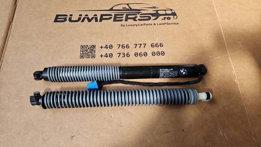 Амортизатор Дверь багажника BMW Series 7 G11 G12 2017 8499572
