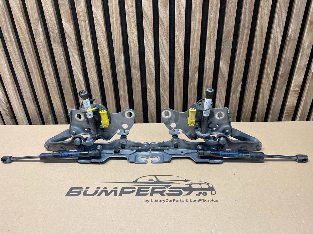 Комплект петель BMW X5 G05 2016 7418201 18331310 298VWA3M