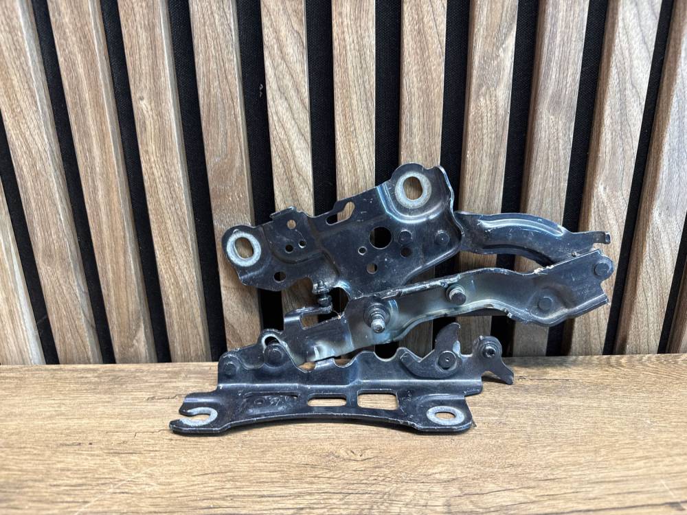 Петли BMW Series 3 G20 G21 2019 7450589